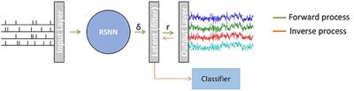 Spike-Representation of EEG Signals for Performance Enhancement of Brain-Computer Interfaces